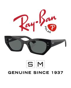 Ulleres de sol originals > Ray-Ban 4430 · Zena 6677/81 Polar