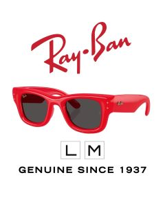 Ulleres de sol originals > Ray-Ban 4940 · Puffer 6831/87