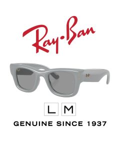 Ulleres de sol originals > Ray-Ban 4940 · Puffer 6876/1
