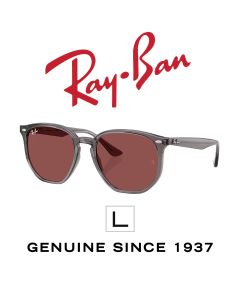 Ulleres de sol originals > Ray-Ban 4306 · 6873/75